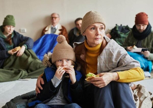 How Organic Food Exports Can Transform Local Economies